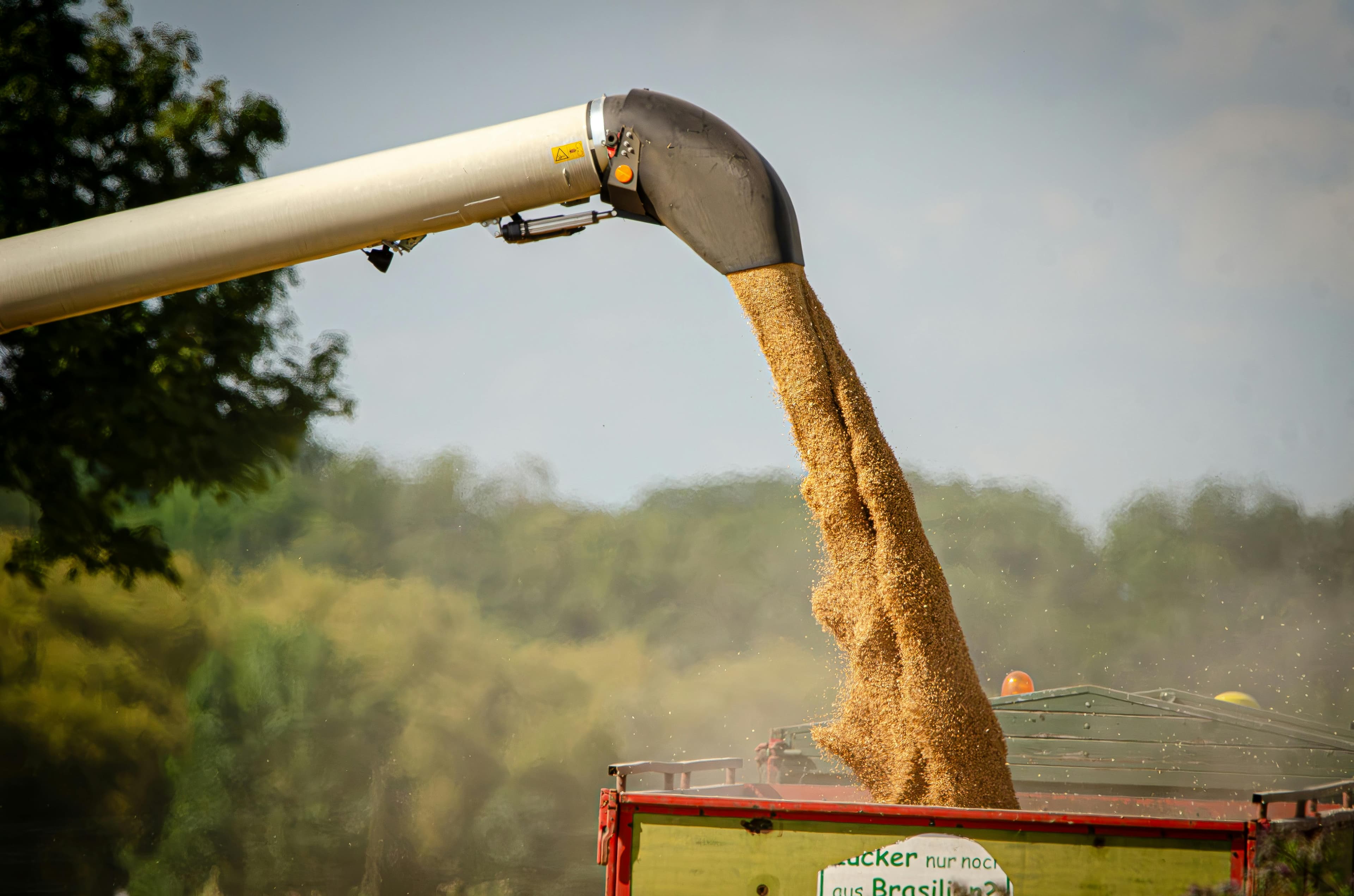 Empowering the Next Generation: The TechFarmYouth Program