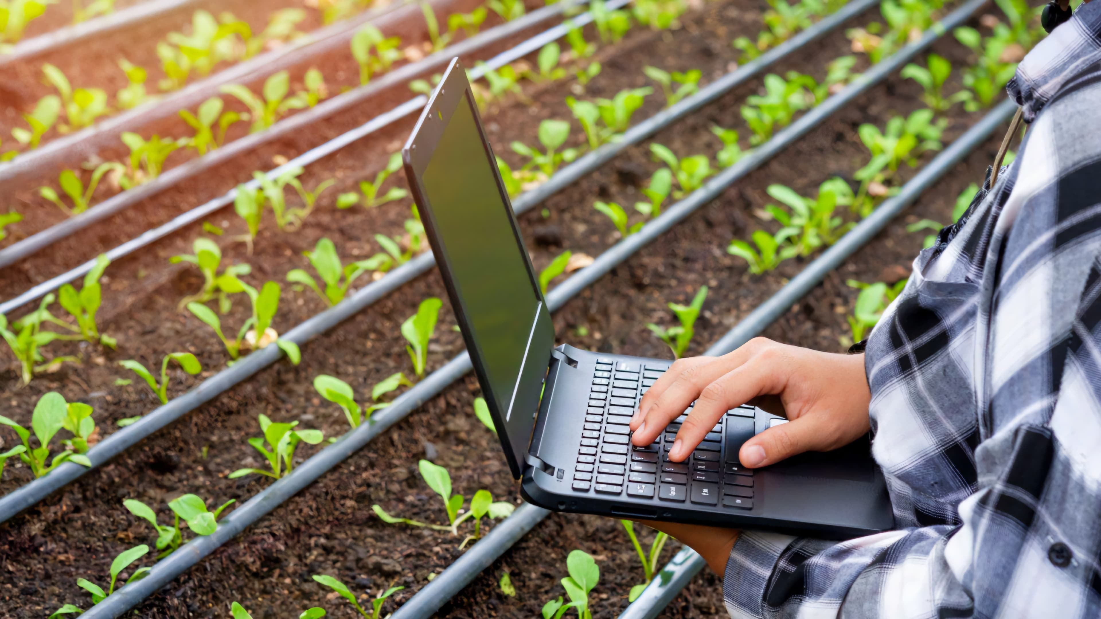 Data-powered agriculture
